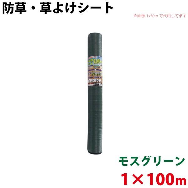 圧倒的人気 あす楽対応 MCY4OPF60NQ [MCY4OPF60NQ]
