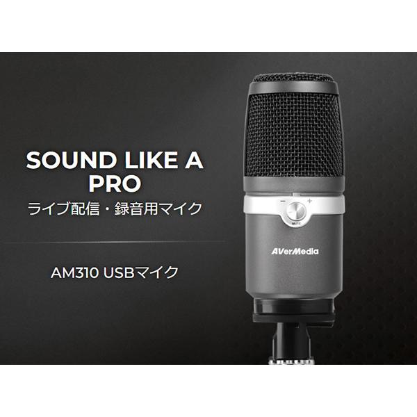 AVerMedia アバーメディア USBマイクロフォン AM310 コンデンサー 