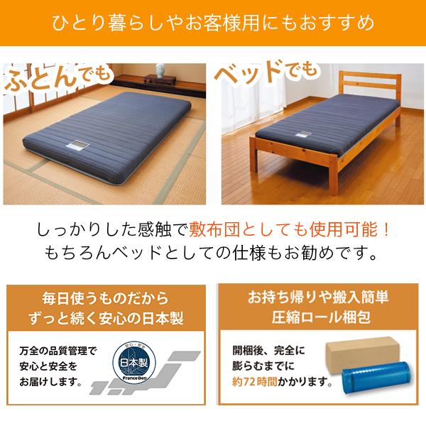 フランスベッド（FRANCEBED） スプリングマットレス FOLDAIR FD-W01