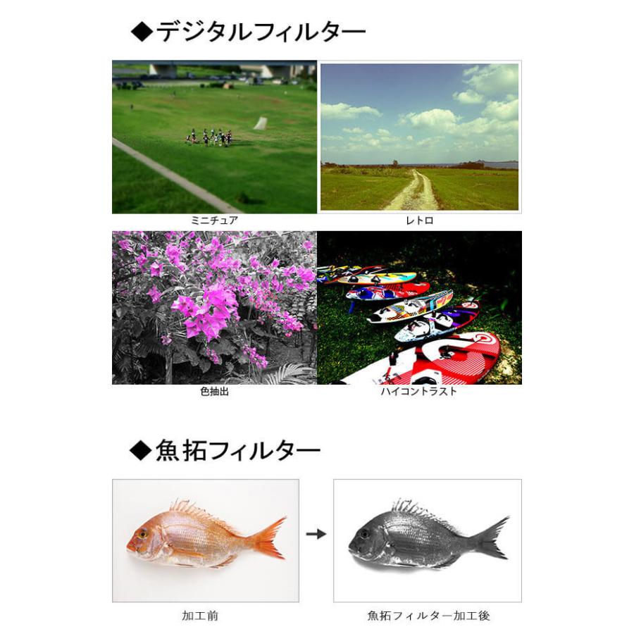 購入廉価 Ricoh リコー タフネスカメラ Wg 6 オレンジ デジタルカメラ 防水 耐衝撃 防塵 耐寒 コンパクト デジカメ 00万画素 水中撮影 Gps機能 Calsモード 代引不可 オンラインストアファッション Apea Asia