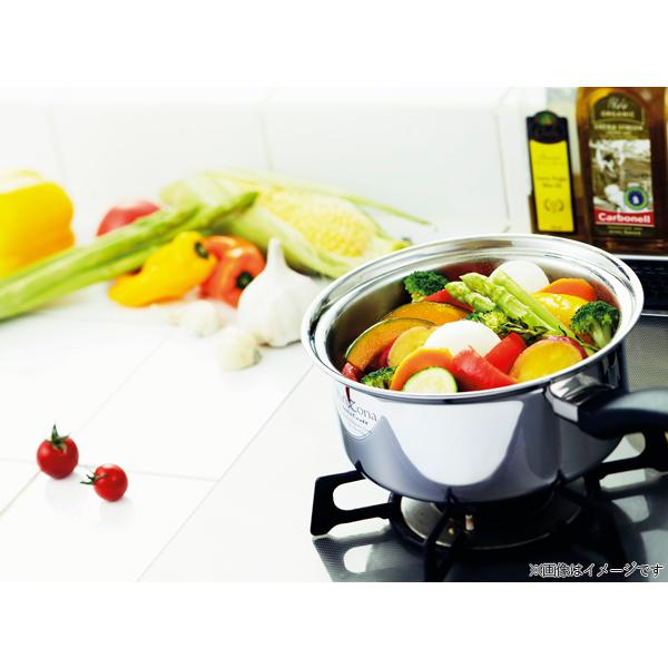 【未使用】ビタクラフト アリゾナ 鍋 片手鍋 17cm レシピ付き 無水調理 アリゾナ｜ビタクラフト