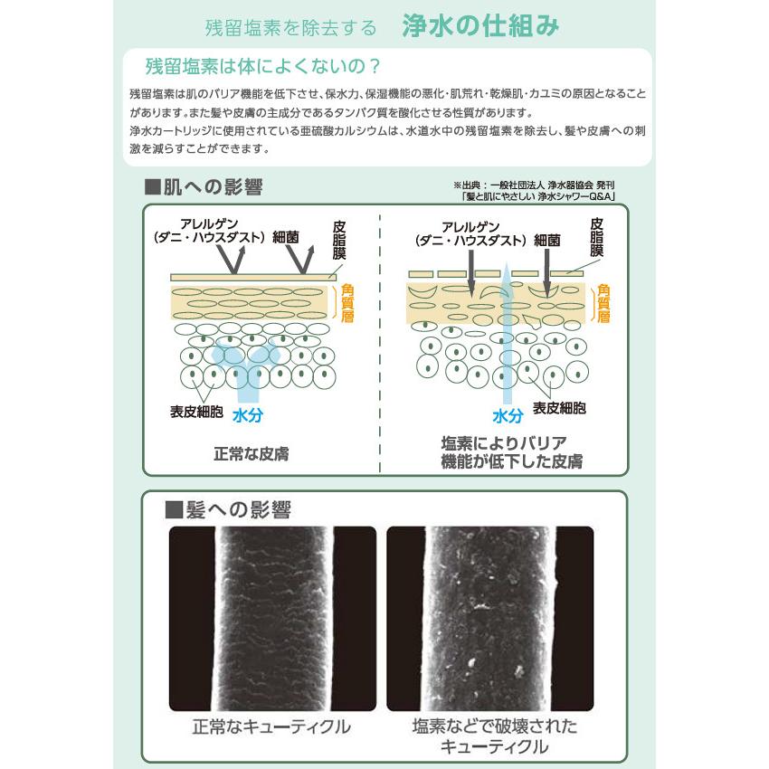 SANEI ウルトラファインバブル発生装置付き シャワーヘッド PS7964-CT6A-MW2 浄水カートリッジ内蔵 シャワーセット マイクロナノバブル 塩素除去の画像