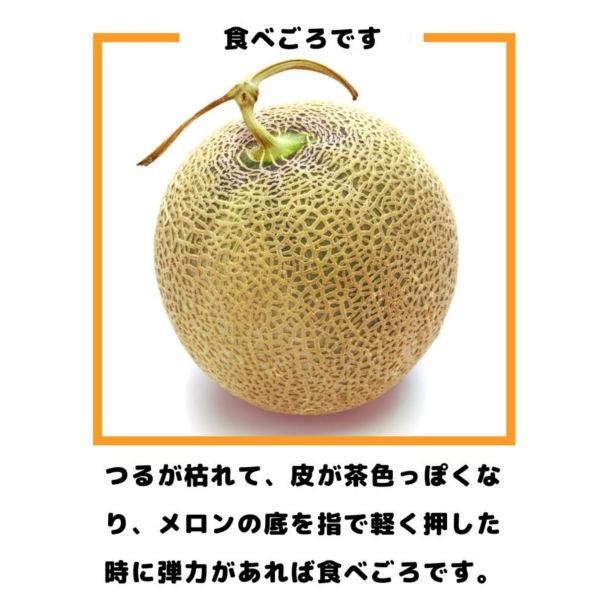 北海道産のメロン 1箱 8kg 3玉から7玉 1玉あたり 1.5kgから2.5kg お
