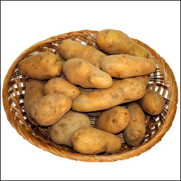 【ブランド芋】北海道産【厚沢部メークイン】20キロ【新じゃがいも】サイズ混合 新じゃがいも メークイン 20kg LMサイズ から Lサイズ 混合 北海道産
