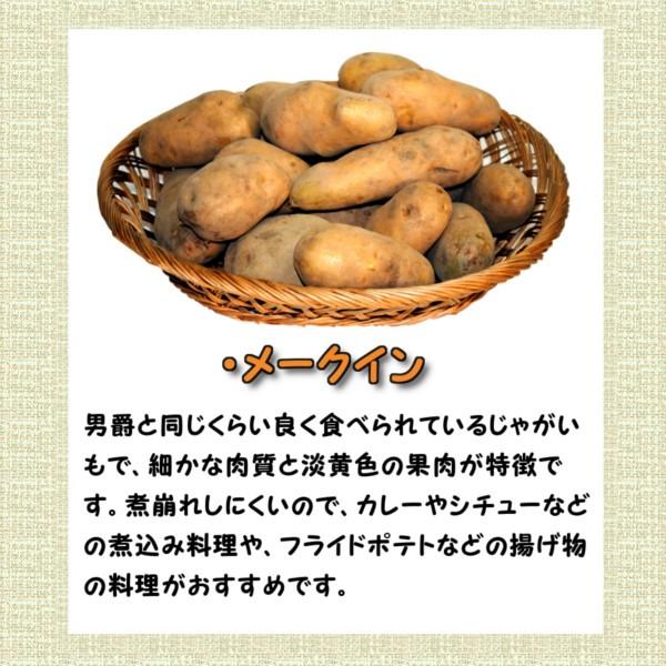 新じゃがいも メークイン 20kg LMサイズ から Lサイズ 混合 北海道産