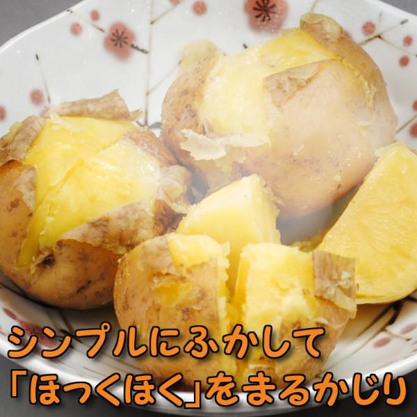 新じゃがいも メークイン 20kg LMサイズ から Lサイズ 混合 北海道産