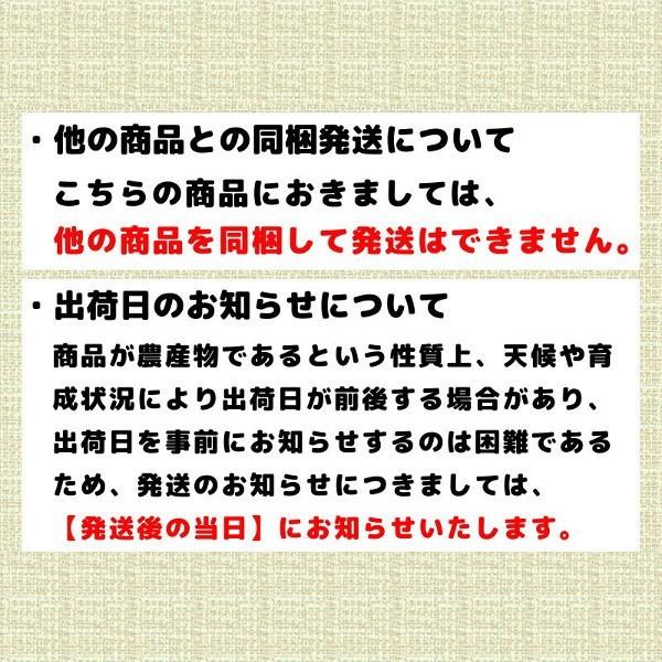 かぼちゃ 北海道産 8kg 4個から6個程度 （みやこ えびす ほっこり