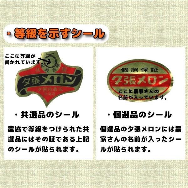 予約】 夕張メロン 訳あり 1玉 個選品 1.3kgから1.6kg 前後 お取り寄せ