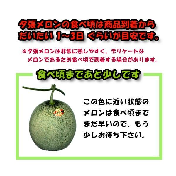 予約】 夕張メロン 訳あり 1玉 個選品 1.3kgから1.6kg 前後 お取り寄せ