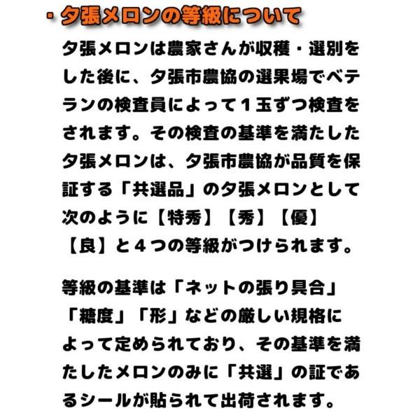 夕張メロン 訳あり 2玉 個選品 1玉あたり 1.3から1.6kg 前後 お取り寄せグルメ｜yubari-shouten｜09
