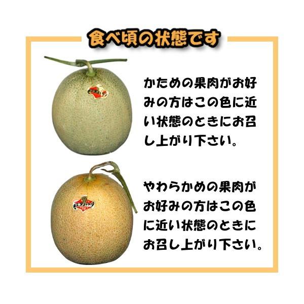 予約】 夕張メロン 訳あり 3玉 個選品 1玉あたり 1.3kgから1.6kg 前後