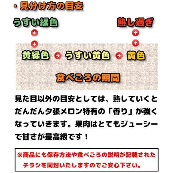 夕張メロン 訳あり 8kg 前後 個選品 3玉から7玉 お取り寄せグルメ 数量限定最終セール品 |  | 14