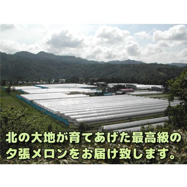 夕張メロン 訳あり 8kg 前後 個選品 3玉から7玉 お取り寄せグルメ 数量