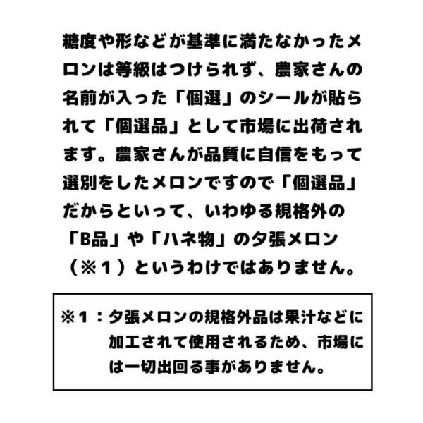 お中元 贈答品 夕張メロン 夕張市農協 共選品 秀品 2玉 1玉あたり 1.3から1.6kg前後 赤肉メロン お取り寄せグルメ｜yubari-shouten｜12