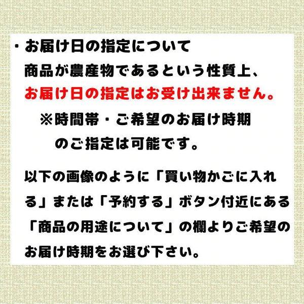 お中元 贈答品 夕張メロン 夕張市農協 共選品 秀品 2玉 1玉あたり 1.3から1.6kg前後 赤肉メロン お取り寄せグルメ｜yubari-shouten｜06