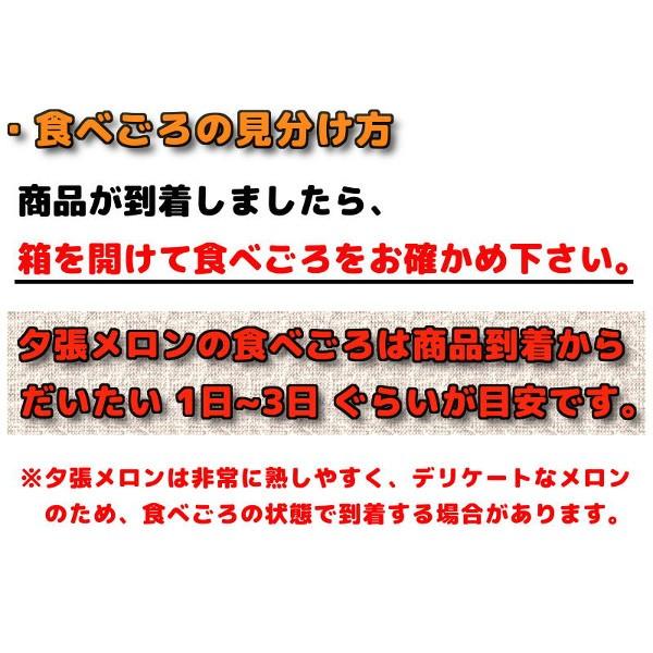 お中元 贈答品 夕張メロン 夕張市農協 共選品 秀品 8kg 前後 4玉から7玉 赤肉メロン お取り寄せグルメ｜yubari-shouten｜14