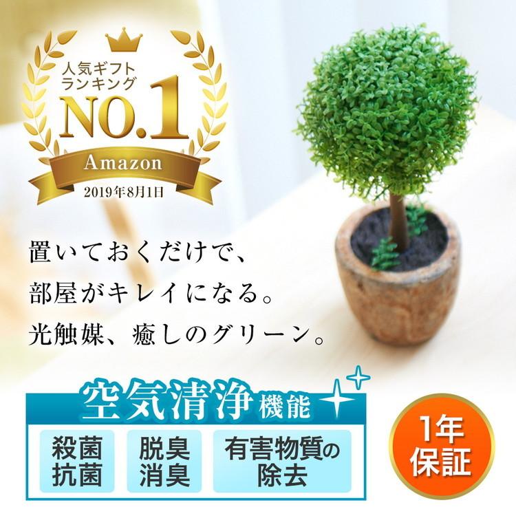 期間限定P10倍30日23:59迄) (レビュー特典付) 5年保証 光触媒 期間限定P10倍30日23:59迄) (レビュー特典付) 5年保証 光触媒