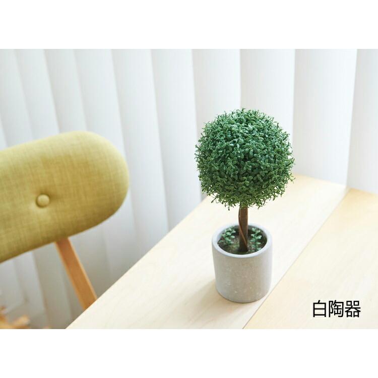 期間限定P10倍30日23:59迄) (レビュー特典付) 5年保証 光触媒 期間限定P10倍30日23:59迄) (レビュー特典付) 5年保証 光触媒