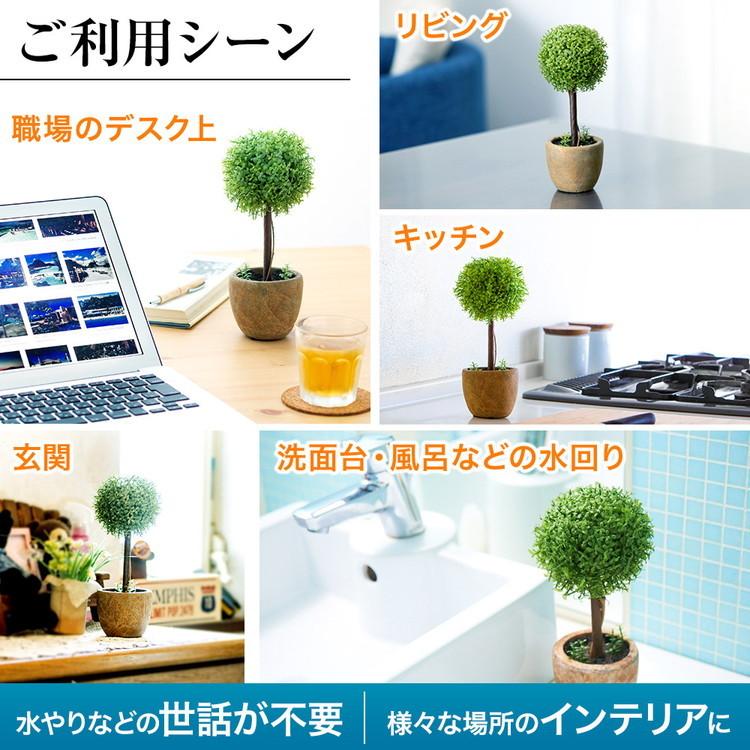 期間限定P10倍27日23:59迄) (レビュー特典付) 5年保証 光触媒 期間限定P10倍27日23:59迄) (レビュー特典付) 5年保証 光触媒