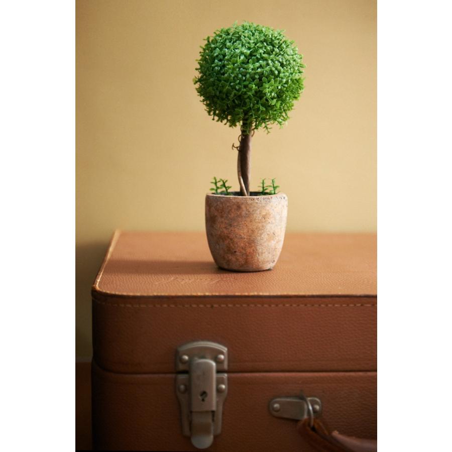 レビュー特典付) 5年保証 光触媒植物 フェイクグリーン トピアリー