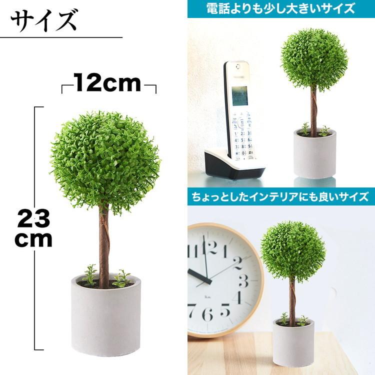 期間限定P10倍30日23:59迄) (レビュー特典付) 5年保証 光触媒 期間限定P10倍30日23:59迄) (レビュー特典付) 5年保証 光触媒