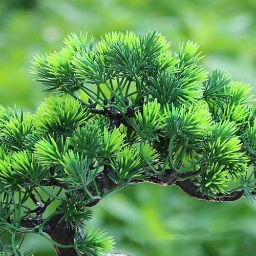 フェイクグリーン フェイク盆栽 人工観葉植物 盆栽 松 長寿松 フェイクグリーン フェイク盆栽 人工観葉植物 盆栽 松 長寿松