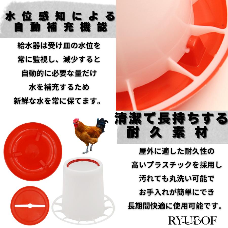 鳥用自動給餌器（小粒用） 鳥用自動給餌器 給水器 餌入れ 水飲み鳥 バードフィーダー 鶏用 小鳥