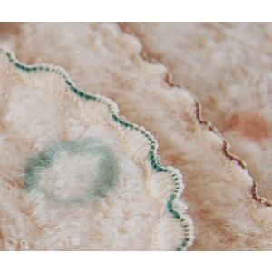 今治タオル★柔らかハンカチ★ハンドタオル★コンテックス(ミュール)★オーガニックコットン★日本製/出産祝い/ギフト/男の子/女の子/プレゼント/人気 |  | 02