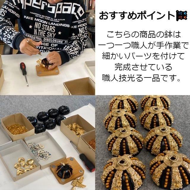 五月人形 　成上(せいじょう）５号曙塗収納飾り_5