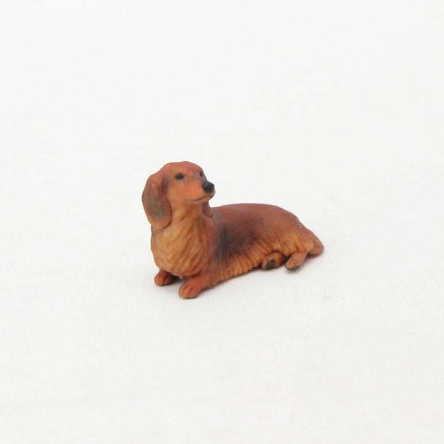 ロングヘアード・ミニチュア・ダックスフンド レッドのミニチュア