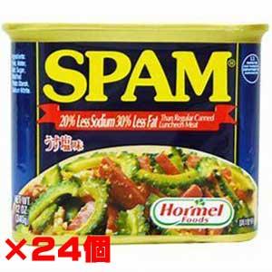 ホーメル SPAM（スパム）うす塩　×24缶セット 送料無料