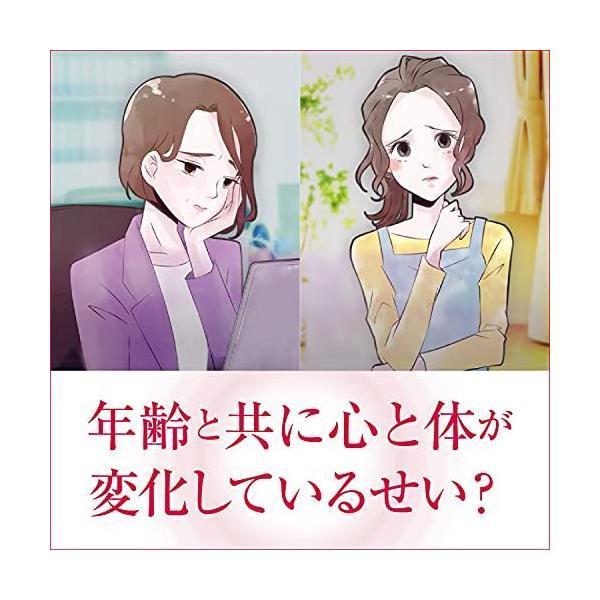 小林製薬の栄養補助食品 エクオール α プラス美容サポート 亜鉛 ツバメ