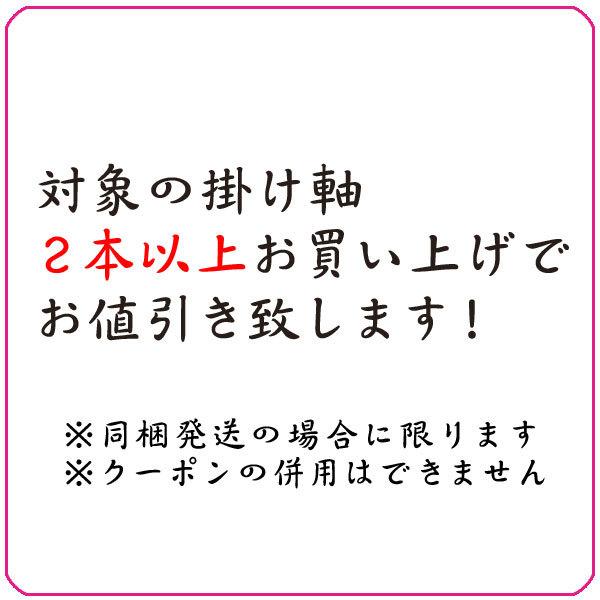 掛軸 (掛け軸) 釈迦名号 南無釈迦牟尼仏 前田静波 尺五立 約横60×縦190cm b1051 禅宗（臨済宗・曹洞宗） 仏書 法事 法要 供養 仏事 仏間 初盆  お盆｜yuinouyasan｜04