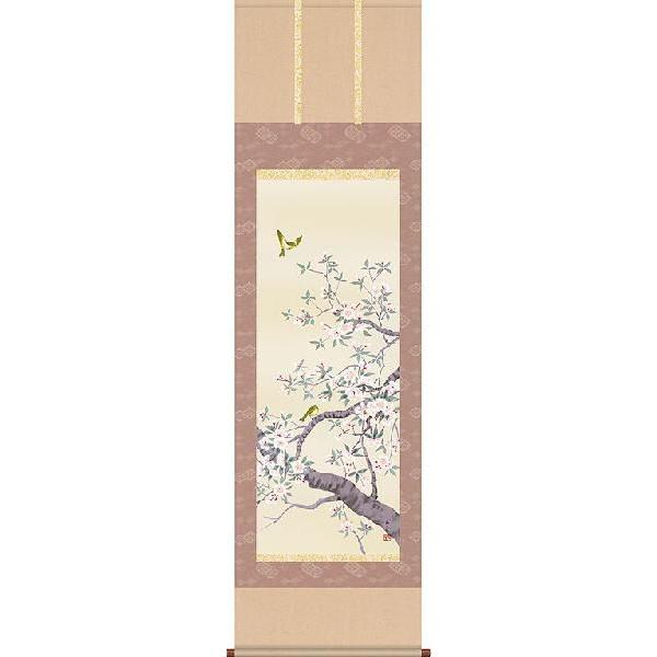 掛軸 (掛け軸) 春用 桜花 北山歩生 尺五立 約横54.5cm×縦190cm b304-20