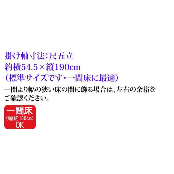 掛軸 (掛け軸) 高砂 瀬田功舟 尺五立 約横54.5cm×縦190cm d3703 慶祝 慶事 縁起 祝賀 お正月 正月 新年 結納 結婚 婚約 長寿｜yuinouyasan｜03