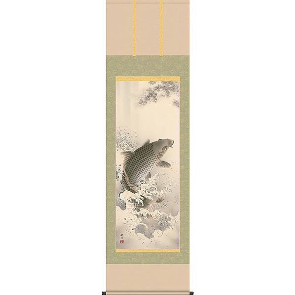 端午の節句掛軸 (掛け軸) 大昇鯉 森山観月 （尺五立）約横54.5×縦190cm d5302 端午の節句 初節句 子供の日 こいのぼり 鯉のぼり 昇鯉 登竜門 開運 縁起の画像