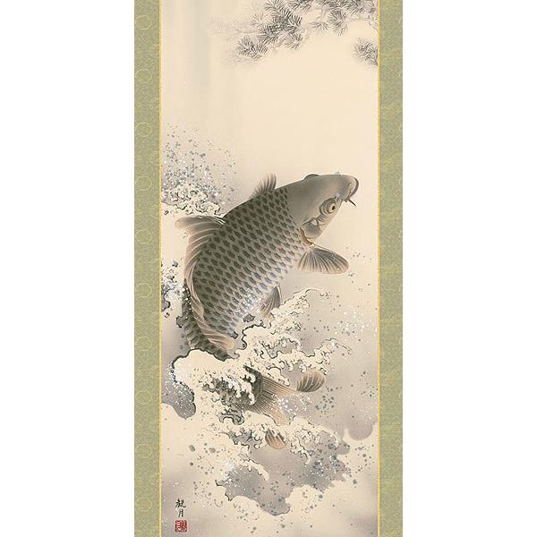 端午の節句掛軸 (掛け軸) 大昇鯉 森山観月 （尺五立）約横54.5×縦190cm d5302 端午の節句 初節句 子供の日 こいのぼり 鯉のぼり 昇鯉 登竜門 開運 縁起の画像