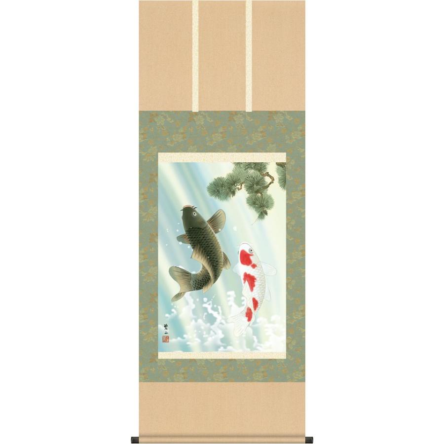 端午の節句掛軸 (掛け軸) 夫婦滝昇鯉 唐沢碧山 （尺五あんどん）約横