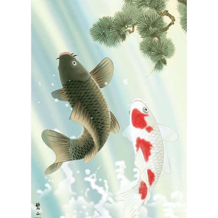 端午の節句掛軸 (掛け軸) 夫婦滝昇鯉 唐沢碧山 （尺五あんどん）約横