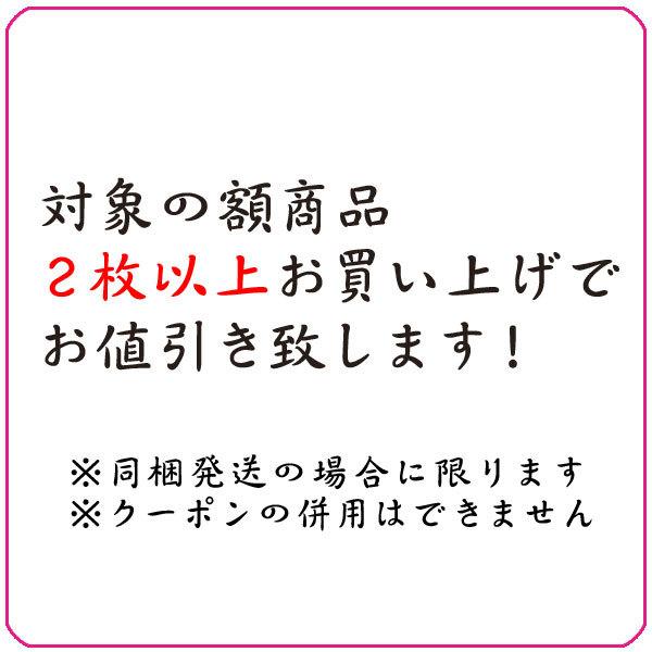 日々是好日(額入り) 浅田観風 約横124×縦48cm d6939 (代引不可) 仏書 法事 法要 供養 仏事 仏間 初盆 追善供養 お盆 彼岸 お彼岸 命日の画像