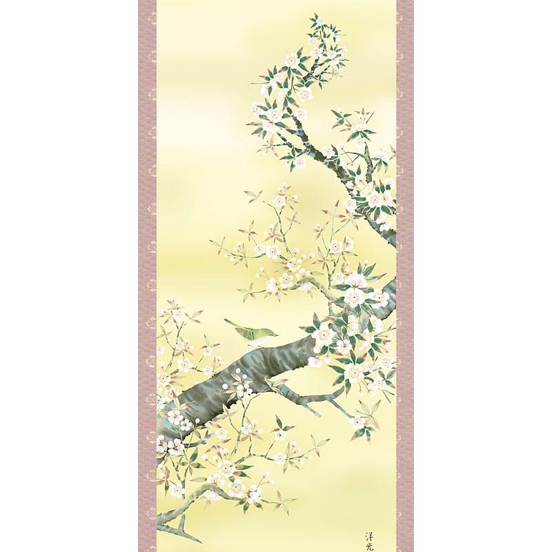 掛軸 (掛け軸) 春用 桜花 井川洋光 尺五立 約横54.5cm×縦190cm d8608 春 春掛 春掛け 花鳥 お祝い 御祝 贈答 贈り物の画像