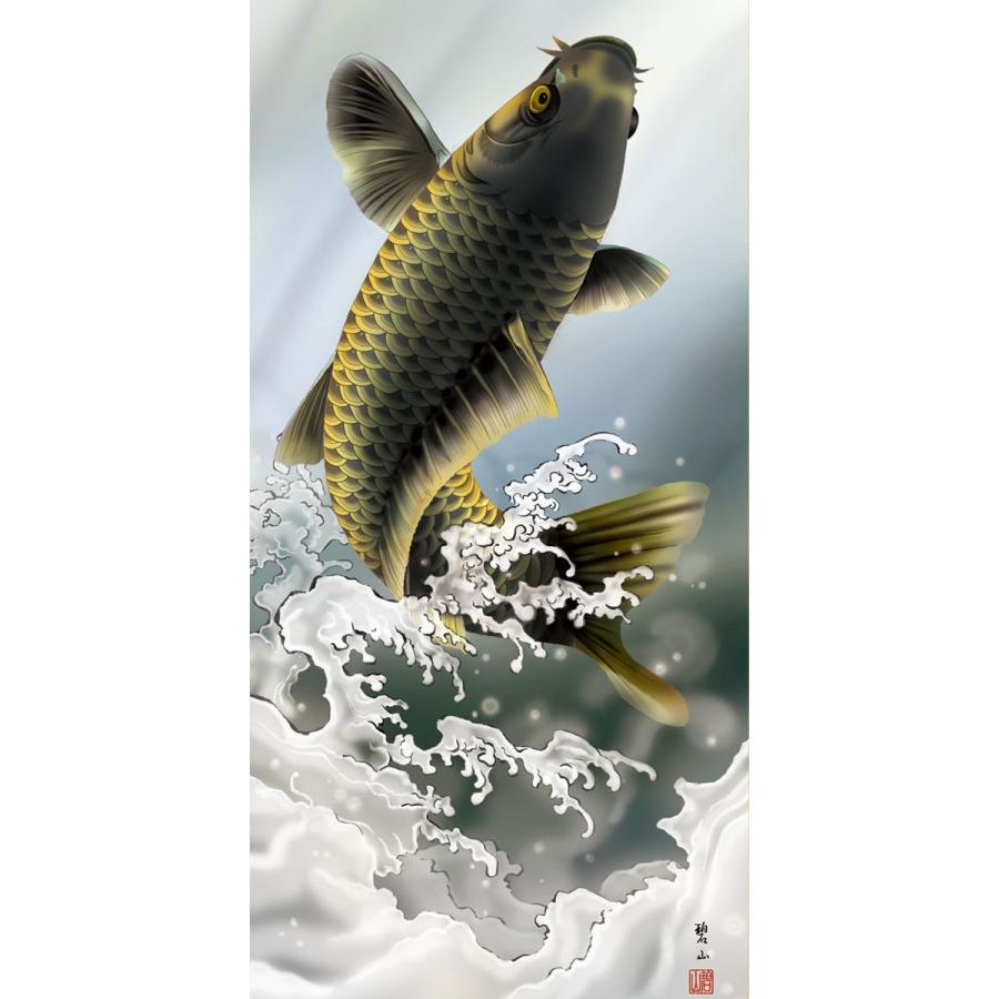 端午の節句掛軸 (掛け軸) 大昇鯉 唐沢碧山 （尺五立）約横54.5×縦190cm