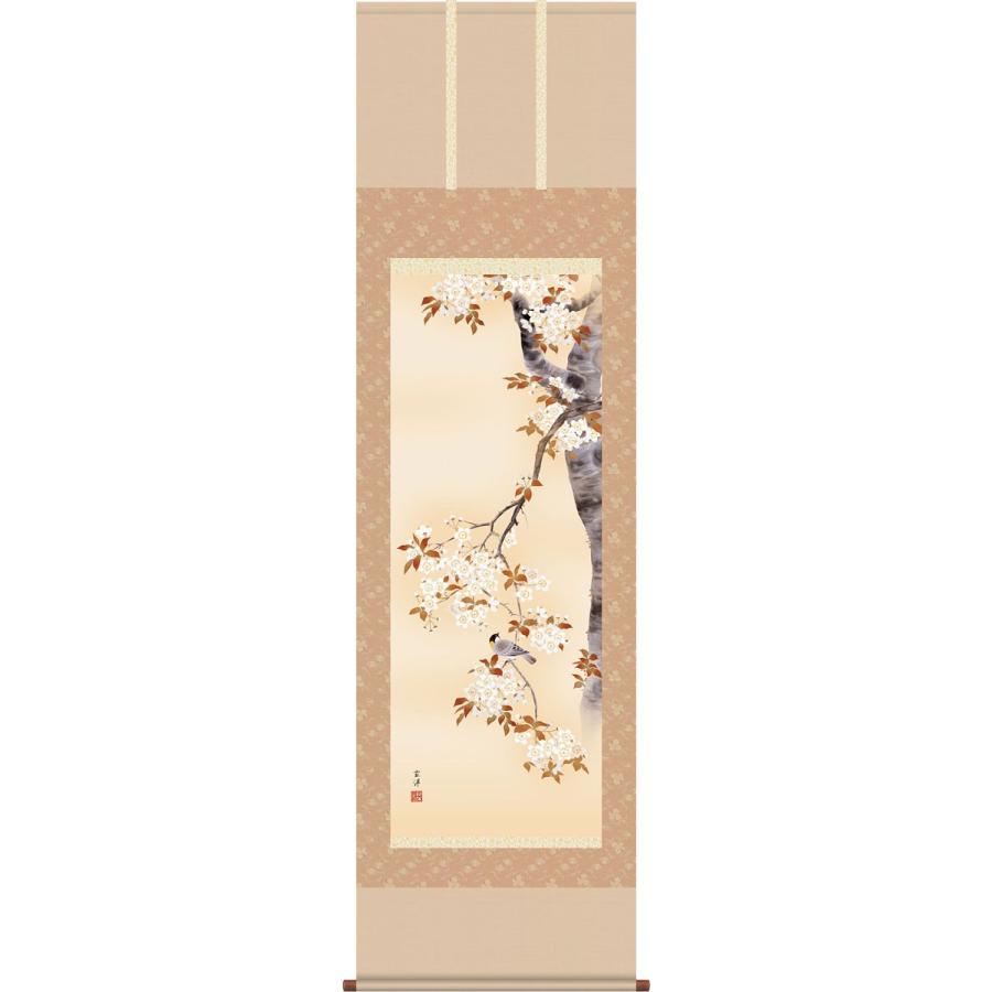 掛軸 (掛け軸) 春用 桜花 近藤玄洋 尺五立 約横54.5cm×縦190cm g4095