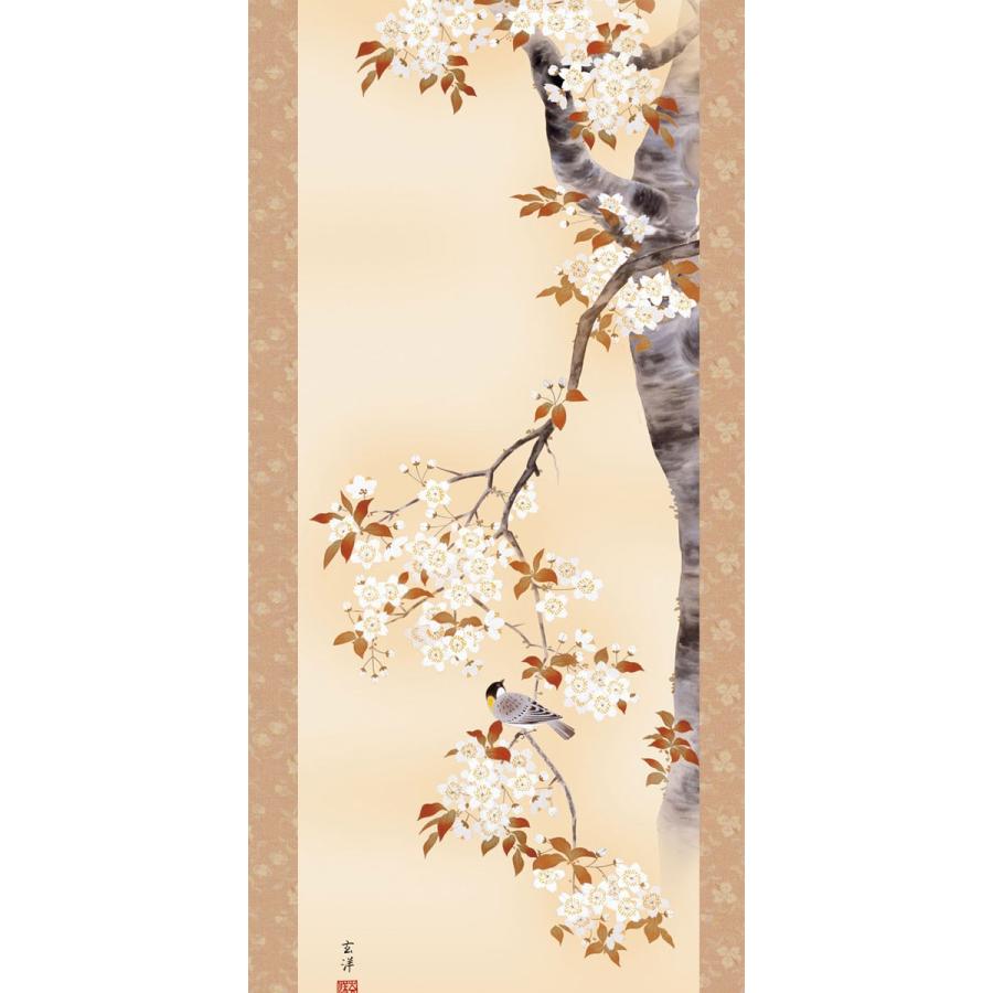 掛軸 (掛け軸) 春用 桜花 近藤玄洋 尺五立 約横54.5cm×縦190cm g4095