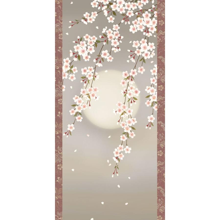 掛軸 (掛け軸) 春用 夜桜 緒方葉水 尺五立 約横54.5cm×縦190cm
