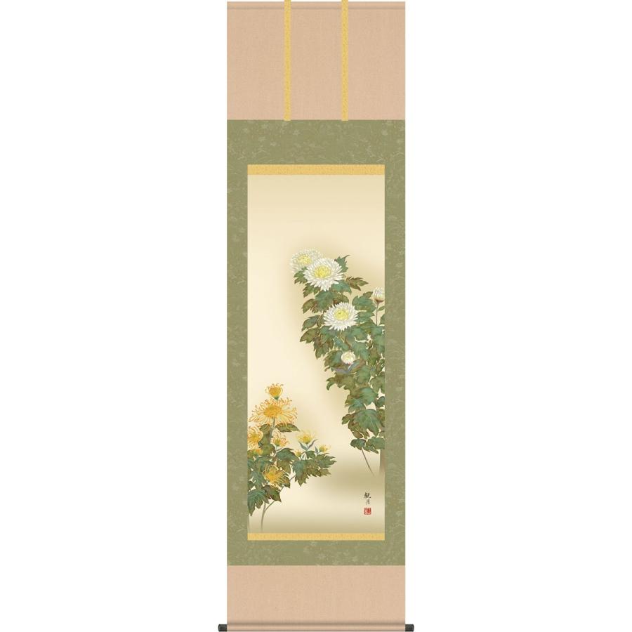掛軸 (掛け軸) 秋用 菊花 森山観月 尺五立 約横54.5cm×縦190cm g4119
