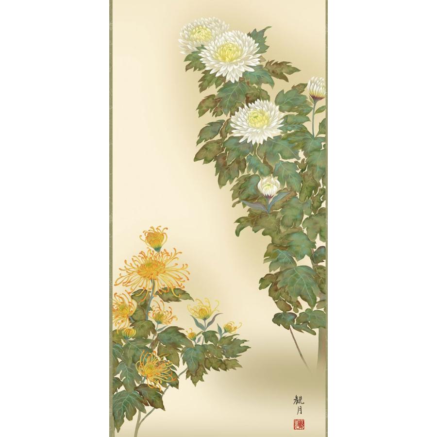 掛軸 (掛け軸) 秋用 菊花 森山観月 尺五立 約横54.5cm×縦190cm g4119
