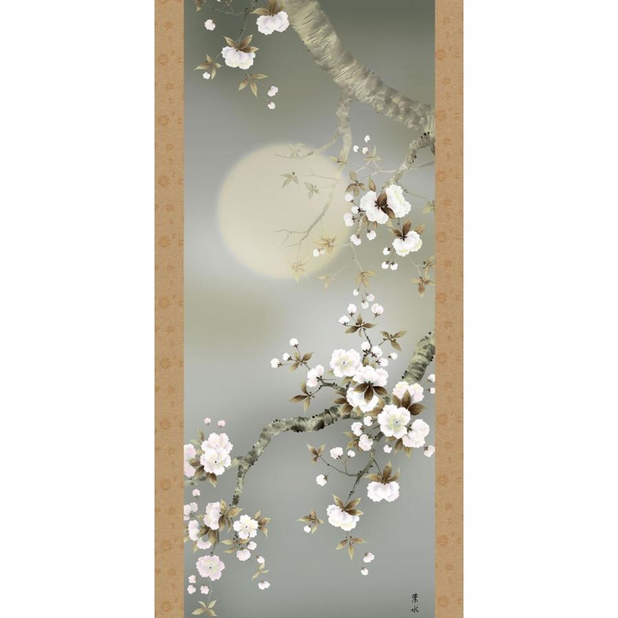 掛軸 掛け軸 春用 夜桜 緒方葉水 尺三立 約横44.5cm×縦164cm 掛軸 (掛け軸) 春用 夜桜 緒方葉水 尺三立 約横44.5cm×縦