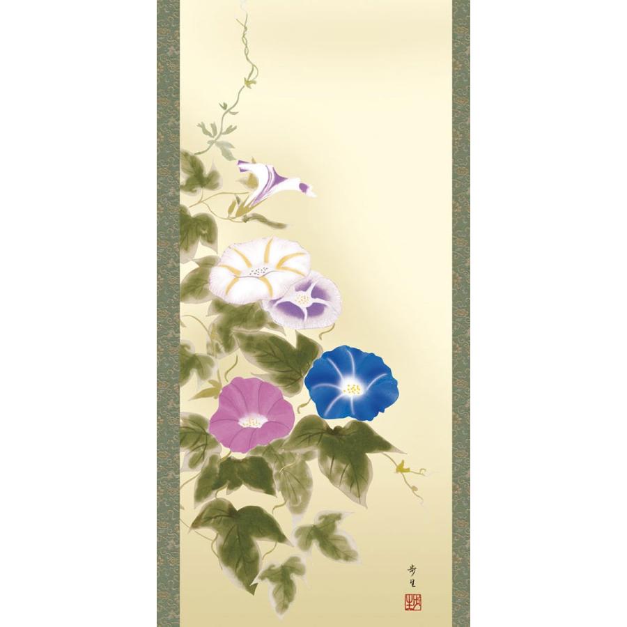 掛軸 (掛け軸) 夏用 朝顔 北山歩生 尺三立 約横44.5cm×縦164cm g4157