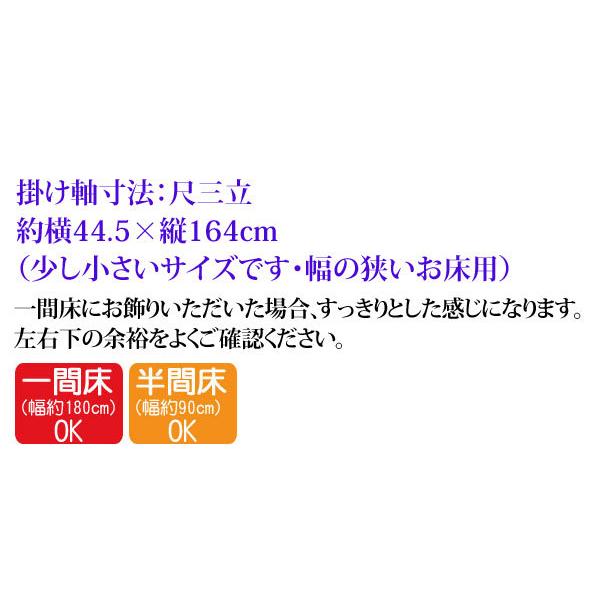 掛軸 (掛け軸) 消災南天福寿 緒方葉水（尺三立・紙箱入り）約横44.5×縦164cm g4500 開運 縁起 吉祥 招福 お祝い 御祝 贈答 贈り物｜yuinouyasan｜04